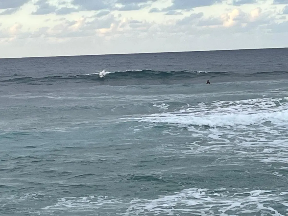 Cabarete Ecolodge Maravilla Beachfront,Encuentro, Surf, Kite Dominican Republic